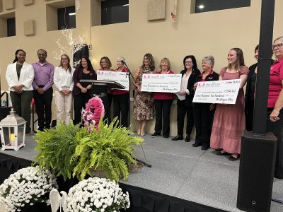 Dragon  Flies presentation 2025 2 content images